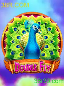 DoubleFly: Tudo Sobre o Novo Sensação do Mundo dos Jogos